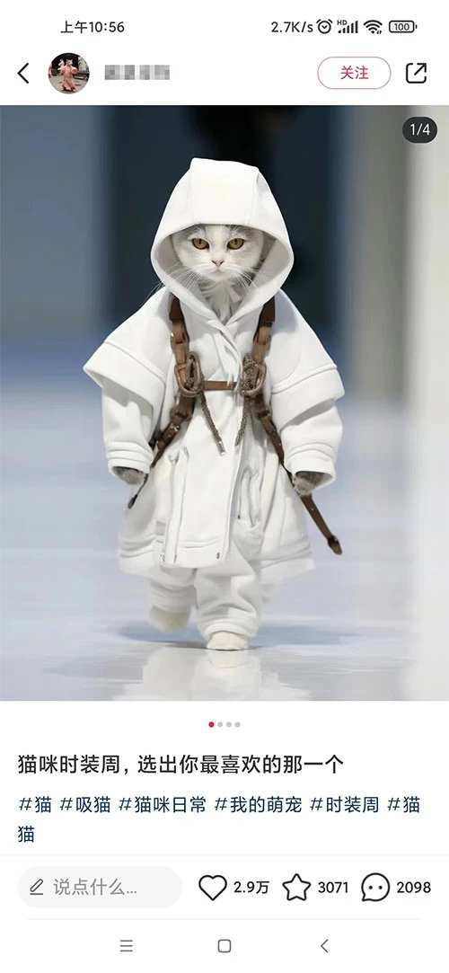 小红书最新爆款项目，Animal 秀，7天变现 1w+