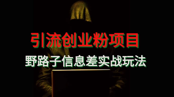 野路子信息差玩法实战教学,引流创业粉