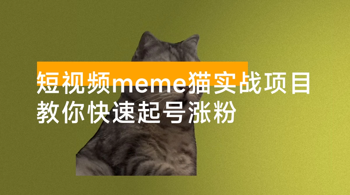 短视频 meme 猫实战项目，从选素材到把文案，到剪辑，手把手的教你快速起号涨粉