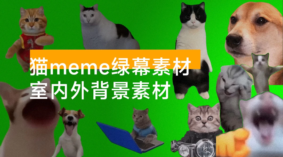 猫 meme 绿幕素材整合 + 室内外背景素材(共 715个,3.8 GB )