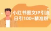 小红书图文 IP 引流，日引 100+ 精准粉【揭秘】