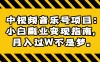中视频音乐号项目：小白副业变现指南，月入过 W 不是梦