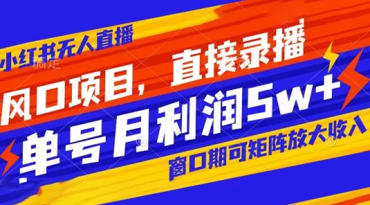 风口项目，小红书无人直播带货，直接录播，可矩阵，月入 5w+
