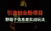 野路子信息差玩法实战教学，引流创业粉