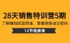 28 天 · 销售特训营 5 期：了解赚钱底层思维，掌握销售成交密码（共 12 节课）