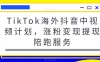 TikTok 海外抖音中视频计划，涨粉变现提现陪跑服务