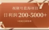 外边收费 699 视频号项目，最新玩法，简单好操作，一人可做，日四位数