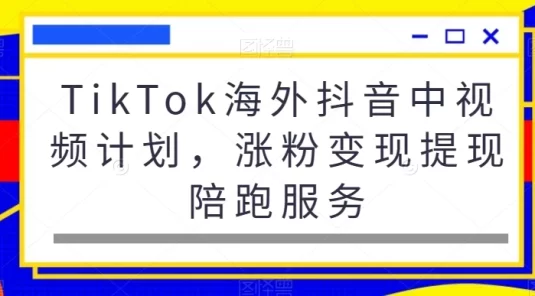 TikTok 海外抖音中视频计划，涨粉变现提现陪跑服务