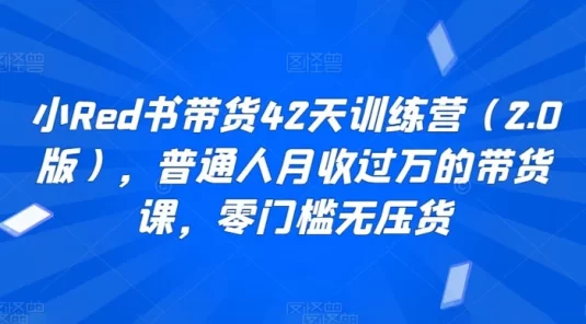 小红书带货 42 天训练营(2.0版),普通人月收过万的带货课,零门槛无压货
