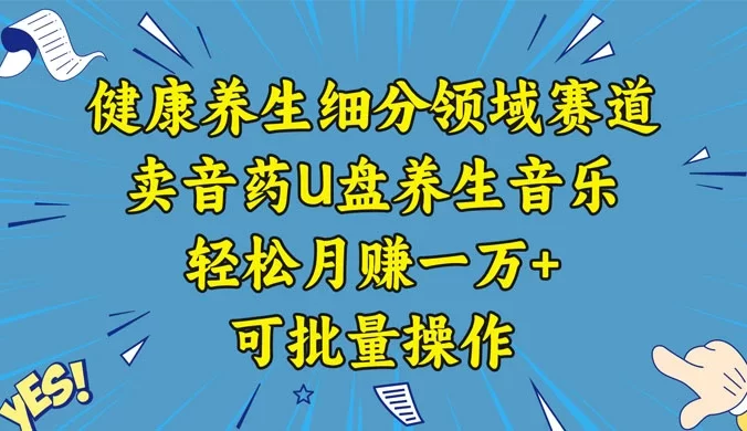 健康养生细分领域赛道,卖音药U盘养生音乐,轻松月赚一万+,可批量操作