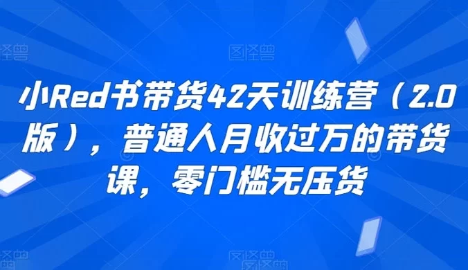 小红书带货 42 天训练营(2.0版),普通人月收过万的带货课,零门槛无压货