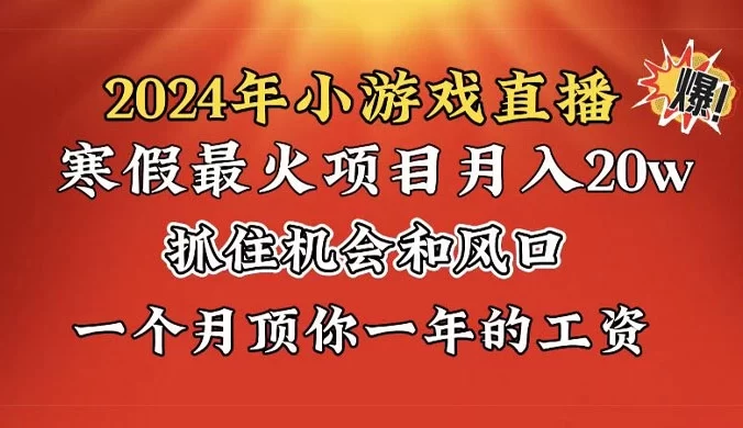 2024 年寒假爆火项目，小游戏直播月入 2w+，学会了之后你将翻身