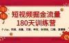 短视频 · 掘金流量 180 天训练营：个人 IP、同城、流量、文案、带货、各领域、口播、直播等