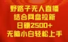 无人直播野路子结合网盘拉新，日赚 2500+ 多平台变现，小白无脑轻松上手操作