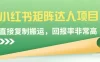 小红书矩阵达人项目，直接复制搬运，回报率非常高