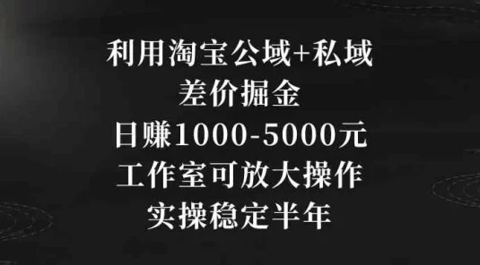 利用淘宝公域+私域差价掘金，日赚 1000-5000 元，工作室可放大操作，实操稳定半年