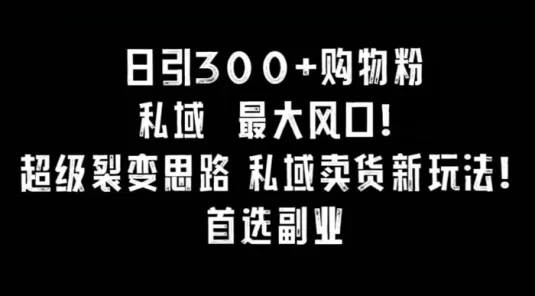 日引 300+ 购物粉，超级裂变思路，私域卖货新玩法，小红书首选副业！