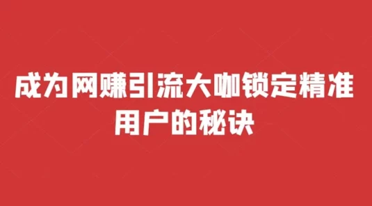 成为网赚引流大咖锁定精准用户的秘诀