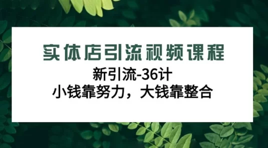 实体店引流视频课程，新引流 36 计，小钱靠努力，大钱靠整合（48 节）