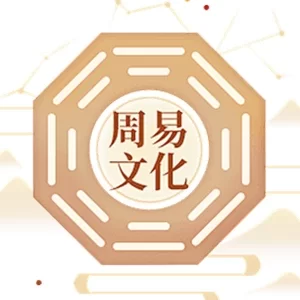 六爻占卜 v1.01 解锁高级版，解卦周易算卦软件，胜过 99% 风水大师
