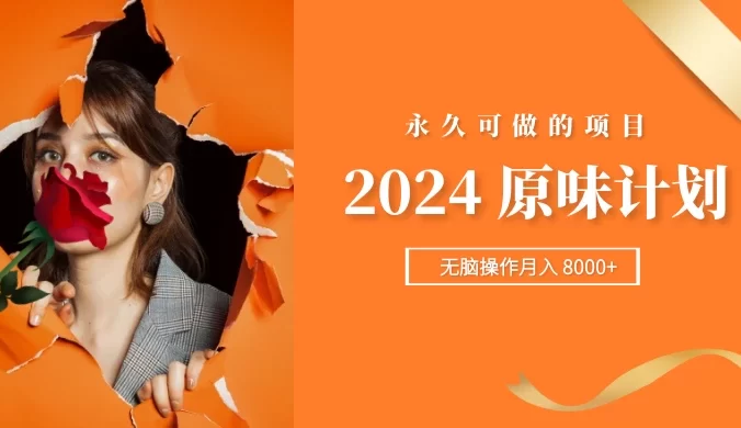 2024 原味计划，每天 30 分钟，无脑操作月入 8000+，永久可做的项目