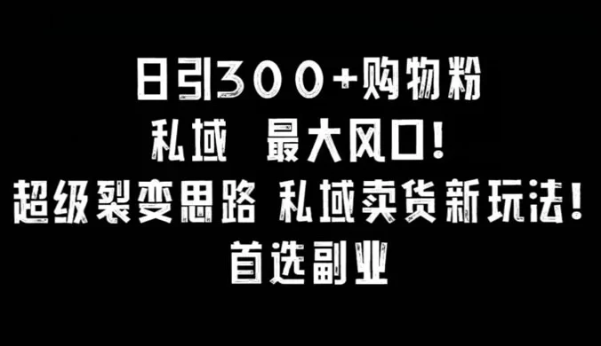 日引 300+ 购物粉，超级裂变思路，私域卖货新玩法，小红书首选副业！