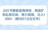 小红书最新蓝海项目，网盘扩容私域引流，暴力变现，日入 1000+（附 100T 占位文件）