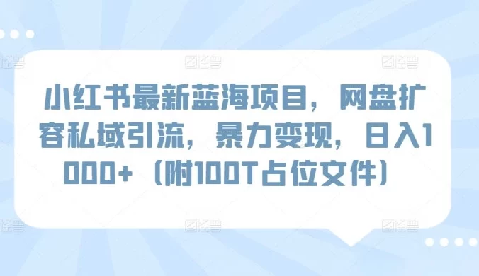 小红书最新蓝海项目，网盘扩容私域引流，暴力变现，日入 1000+（附 100T 占位文件）