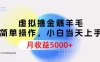 虚拟撸金薅羊毛，简单操作，小白当天上手，月收益 5000+