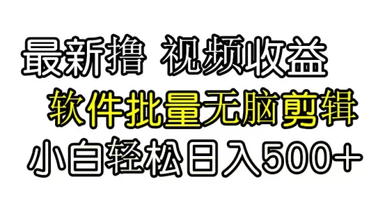 发视频撸收益，软件无脑批量剪辑，第一天发第二天就有钱
