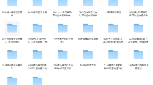 2024 U 盘车载专用音乐 3068 首 (共 24 G）