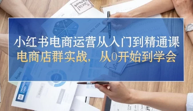 小红书电商运营从入门到精通课，电商店群实战，从 0 开始到学会