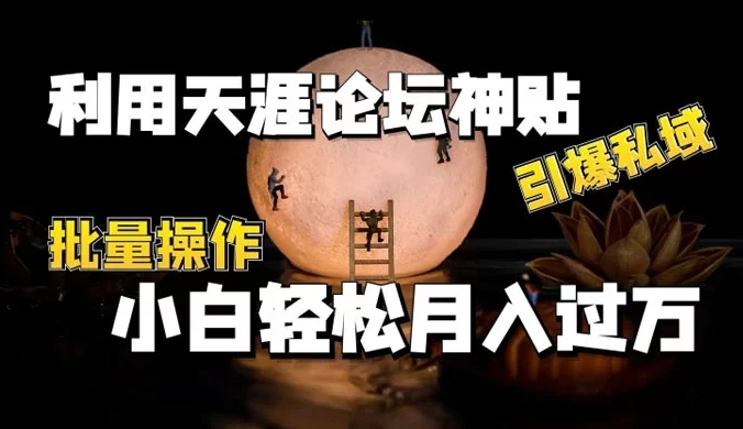 利用天涯论坛神贴，引爆私域，批量操作、小白轻松月入过万