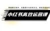 小红书高效运营课：掌握爆文制作、流量提升与变现方法，轻松实现盈利