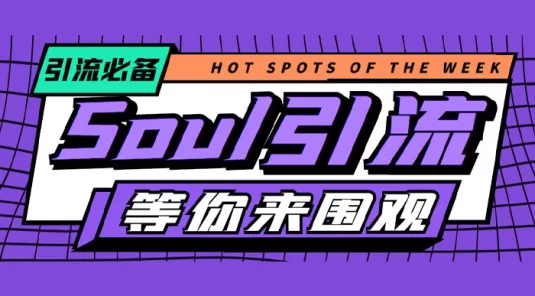 最新 Soul 全自动引流全类私域粉丝脚本，可根据关键词筛选精准用户日引 100＋【引流脚本+使用教程】