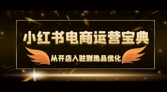 小红书电商运营宝典：从开店入驻到选品优化，一站式解决你的电商难题