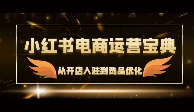 小红书电商运营宝典：从开店入驻到选品优化，一站式解决你的电商难题