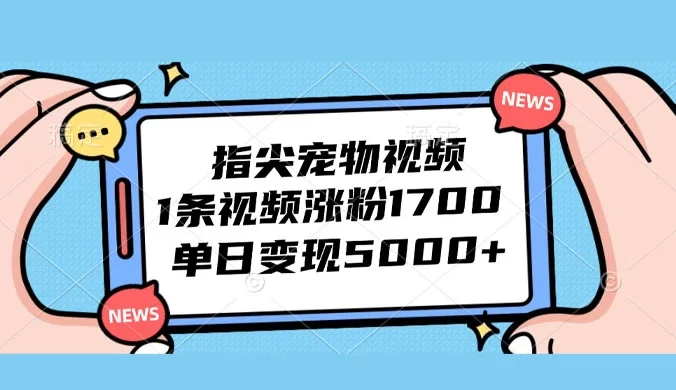 指尖宠物视频，1 条视频涨粉 1700，单日变现 5000+