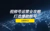 视频号运营全攻略，从定位到成交一站式学习，视频号核心秘诀，打造爆款