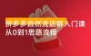 拼多多自然流店群入门课，从0到1思路流程，涵盖开店、加价、截流等关键环节
