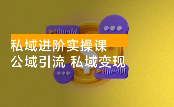 私域进阶实操课,公域引流、私域变现、持续复购