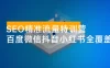 SEO 精准流量特训营，百度微信抖音小红书全覆盖，带你搞懂搜索优化核心技巧