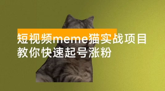 短视频 meme 猫实战项目，从选素材到把文案，到剪辑，手把手的教你快速起号涨粉