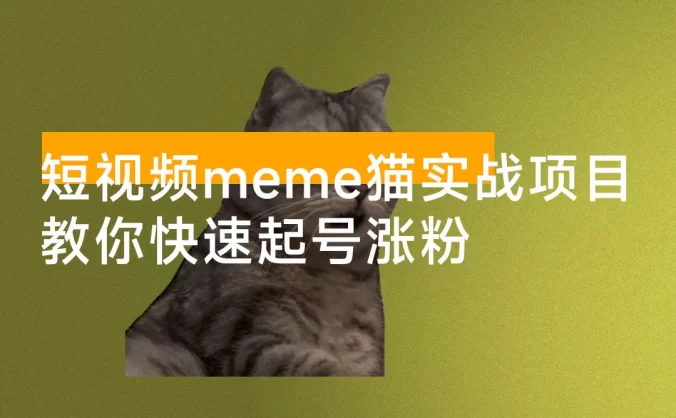 短视频 meme 猫实战项目，从选素材到把文案，到剪辑，手把手的教你快速起号涨粉