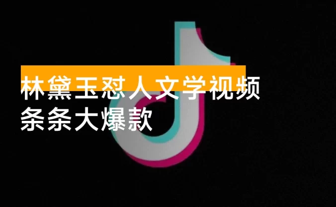 从零开始，教你如何制作林黛玉怼人文学视频，条条大爆款