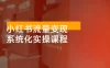 小红书流量变现系统化实操课程，0 到 1 打造爆款 IP，光速起号，月入过万