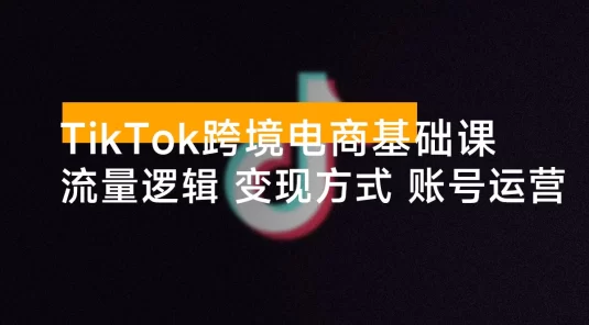 大光 · TikTok 跨境电商基础课，抢占 TikTok 跨境新蓝海：流量逻辑+变现方式+账号运营，新手月入 1 万+