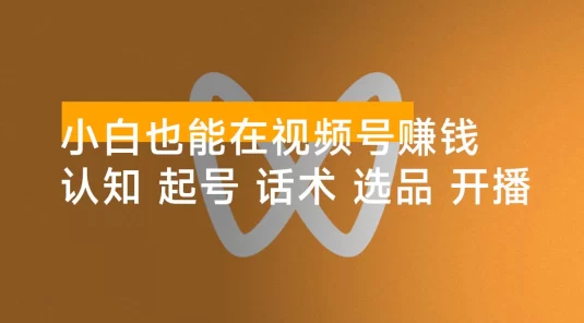 小白也能在视频号赚钱：认知、起号、话术、选品、开播到投放全链路运营