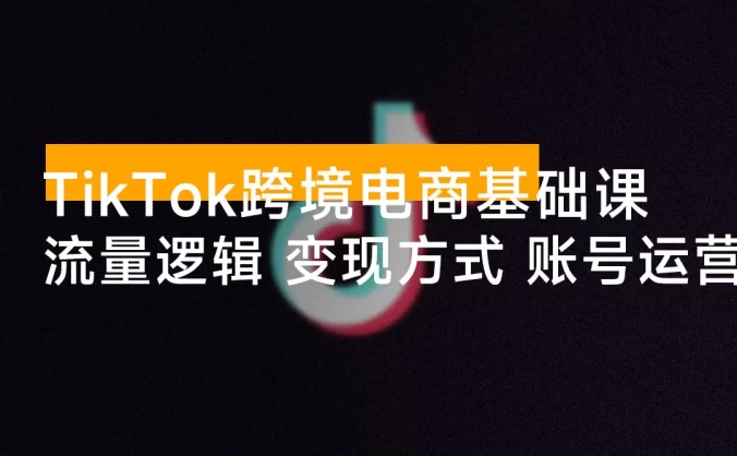 大光 · TikTok 跨境电商基础课，抢占 TikTok 跨境新蓝海：流量逻辑+变现方式+账号运营，新手月入 1 万+