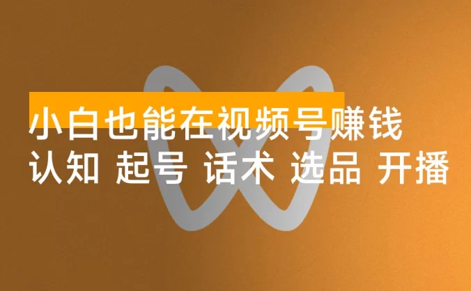 小白也能在视频号赚钱：认知、起号、话术、选品、开播到投放全链路运营